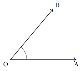 An acute angle, clearly less than 90 degrees.